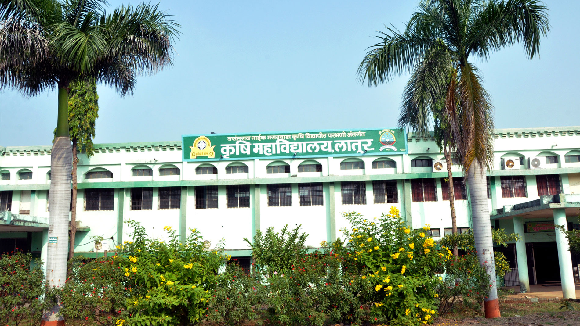 Charity Work